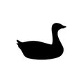 Geese black silhouette on isolated white background